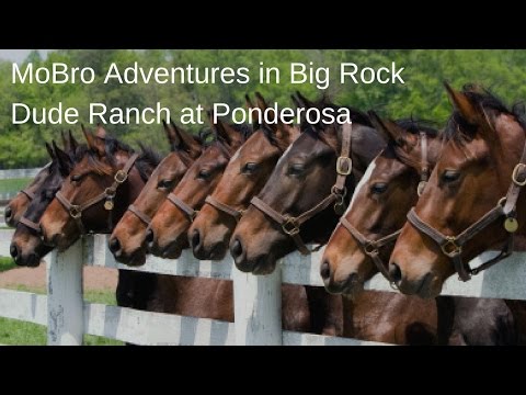 Big Rock Dude Ranch at Ponderosa Adventures