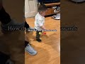Baby Falls Backwards!  😭  #funny