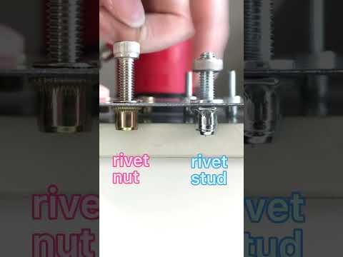 rivet stud and rivet nut