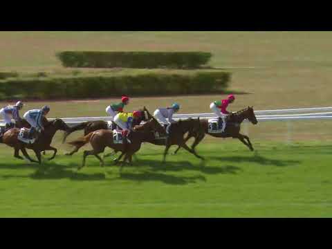 Dielsdorf/21.08.2018/Preis der Trainingszentrale Dielsdorf