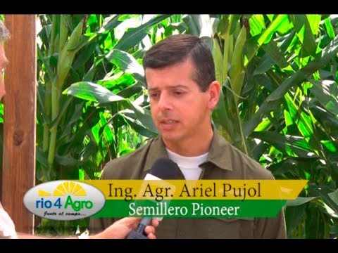 PROGRAMA RIO 4 AGRO 21 03 BLOQUE 1 "Semillero Pioneer"