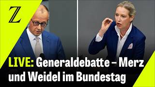 LIVE: Merz und Weidel sprechen im Bundestag