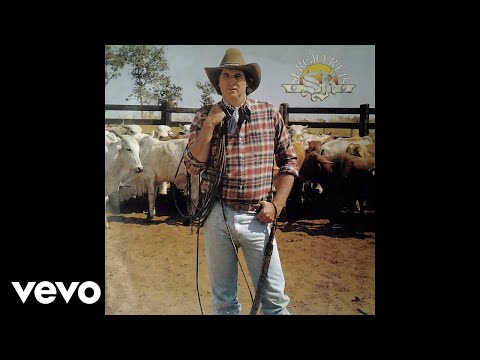 Sérgio Reis - Viajante Solitário (Pseudo Video)