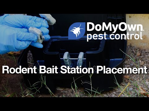 How to Place Outdoor Rodent Bait Stations Video