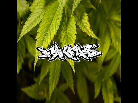 Azotek - Indian Junglist  (Jungle - Dnb)