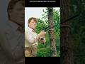 Killer Assasin With Sniper Rifle That Can Be Made Anywhere Movie Series