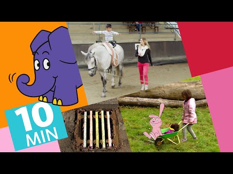 Hallo Elefant - Mert lernt voltigieren & Kettenreaktion mit Elefant und Hase| Der Elefant | WDR