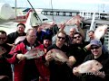 Snapper fishing Port Phillip Bay 