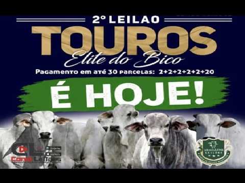 2° LEILÃO DE TOUROS ELITE DO BICO | ARAGUATINS-TO 21/06/2026
