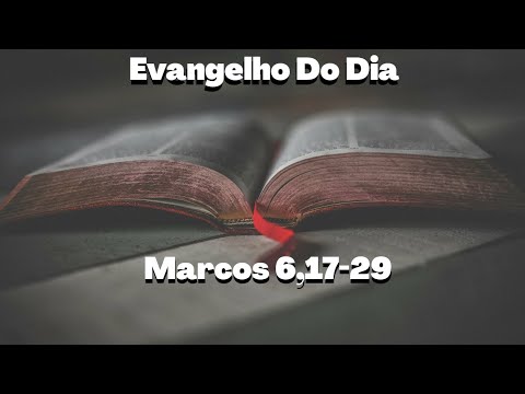 Reflexão Evangelho dia 29-08-2020