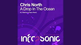 A Drop In The Ocean (Braiman &amp; Falcon Remix)