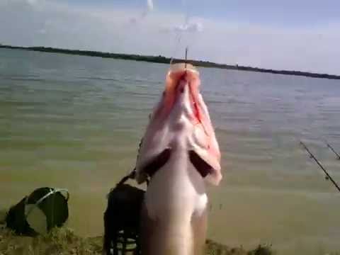 Рыбалка .Ростовановское водохранилище 20.06.2016