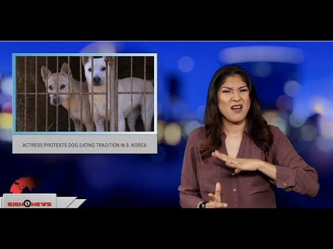 Actress protests dog eating tradition in S. Korea (ASL - 7.12.19)