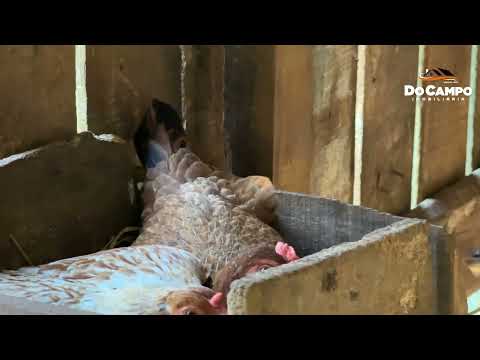 CHÁCARA À VENDA SANTA CATARINA R$ 230MIL