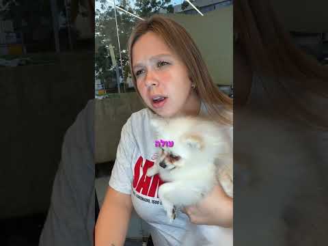 מה קרה פה ?💸