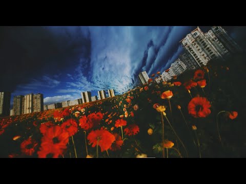 youtube video placeholder