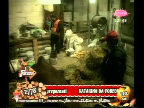 Marijan Risticevic Finalista 110 dan FARMA 3 profil