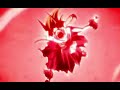 Ichigo Vasto Lorde Scream Brazil Dub