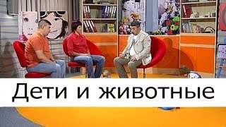 Дети и животные - Школа доктора Комаровского