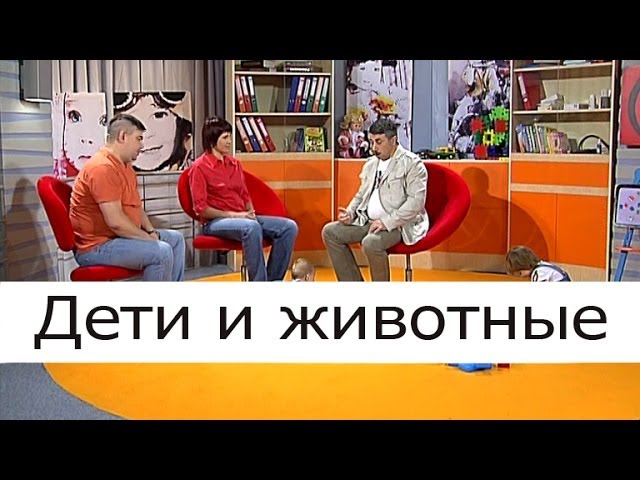 Как проявляется аллергия на кошек у детей и что с этим делать   видео