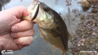 First Fish of Spring 2016!