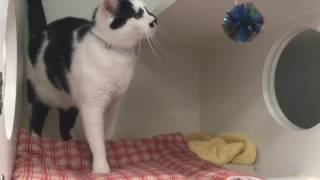Ruby Tuesday (A1053608) Ruby Tuesday (A1053608)