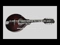 The Primrose Lass - a reel in G Major tabbed for mandolin and played by Aidan Crossey