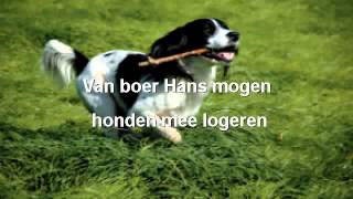 preview picture of video 'Weekend Texel met Hond'