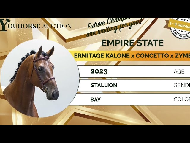 Empire State flatworkvideo