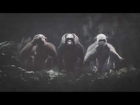 Tones and I - Dance Monkey - (The Fish House, Hugo Doche Remix)