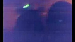 Wild Obsession Union Halle