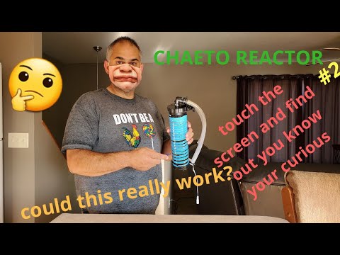 32.5 Fluval Flex Saltwater aquarium chaeto reactor 3 week update