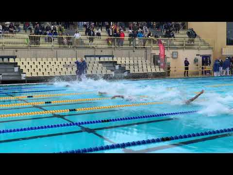 Mare Nostrum '19 - Canet - 50 free final - Bruno Fratus, Ben Proud
