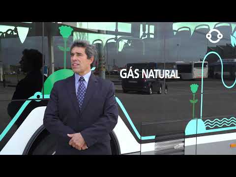 À boleia com... António Aguiar, motorista STCP.