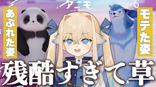 【企画】現在41種！進化条件が「異性にモテた」か否かなの草：新作ゲーム「アニモ」82種類コンプ企画‼【シラナミチャンネル】
