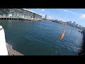 easiest way to catch squid even in midday sydney squidding noob hack tutorial. read description