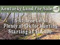 Kentucky Land For Sale-Blackstone Mountain, Clay Co., KY