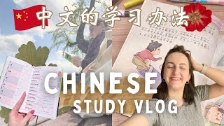 How I Self-Study Mandarin Chinese in 2025 🇨🇳 Study Vlog
