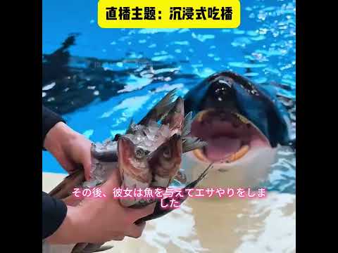 この女の子はシャチと一緒に踊っている