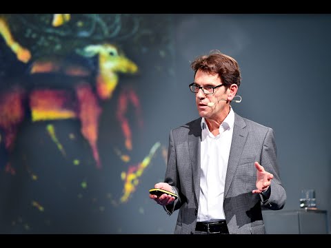 Richard Bamler: The Golden Age of Earth Observation from Space | Horizons 2019