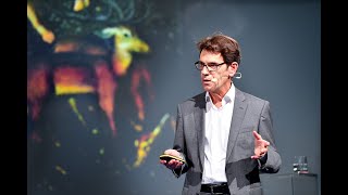 Horizons 2019: Richard Bamler. The Golden Age of Earth Observation from Space