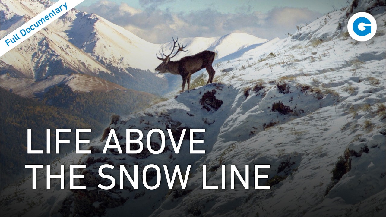 The Greater Caucasus - Between Europe and Asia | Full Documentary