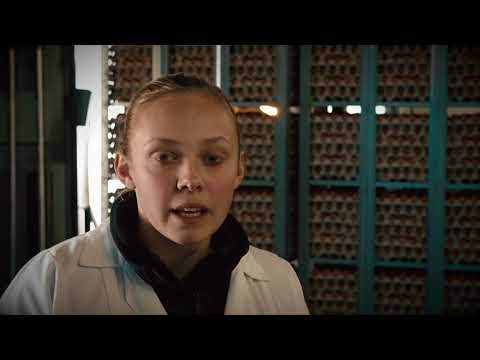 AMA Eier-Packstelle - Qualitätskontrolle