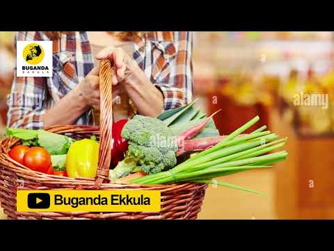 okuloota nga ositudde ekisero ekilimu ebintu  - Ebirooto Namakulu Gaabyo - Buganda Ekkula