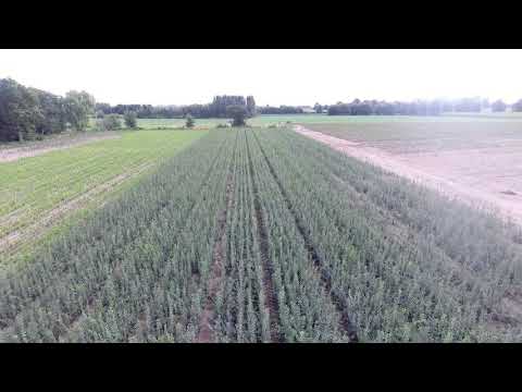 Vereecke / Decleene NV - overzicht partij2