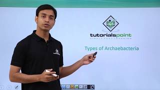 Class 11th – Archaebacteria – Types | Biological Classification | Tutorials Point