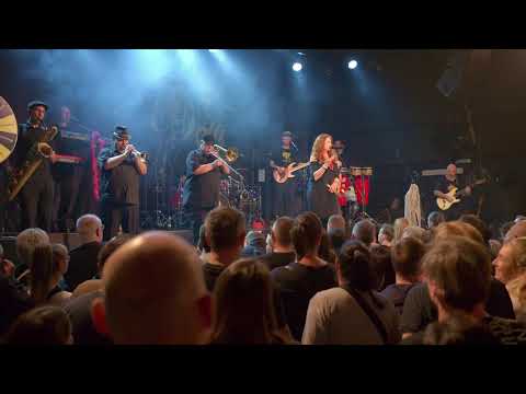 Sto zvířat  (35 LET TOUR) ( LIVE 29.11.2025 Fléda Club / Brno )