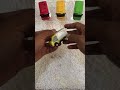 Berburu Mobil Paket JNE