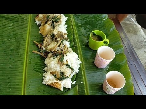 Pangunguha ng kabute or wild mashroom, Buhay Probinsya.. Munoz Nueva Ecija....