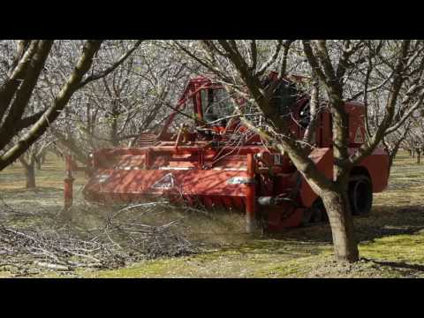 Flory WS910 Shredder 2017